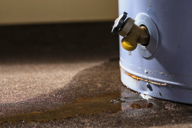  Northfield, IL Water damage restoration Pros