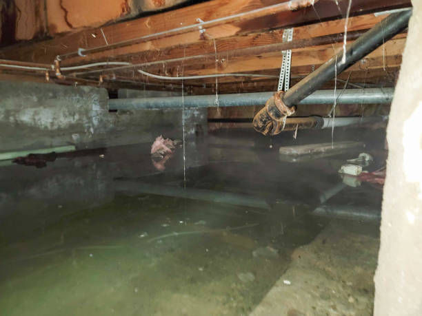 Best Emergency water damage restoration  in Northfield, IL