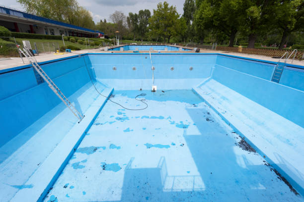 Best Basement water damage restoration  in Northfield, IL