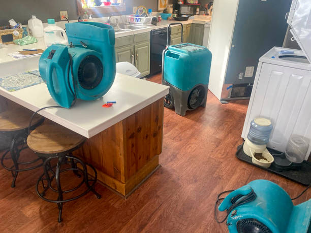 Best Water damage restoration near me  in Northfield, IL