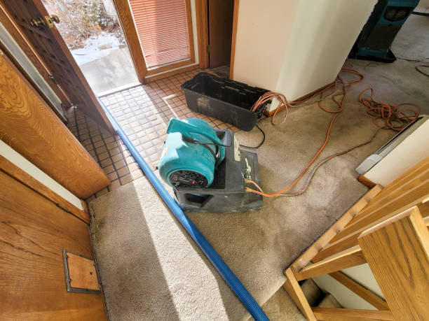 Best Flooded house restoration  in Northfield, IL