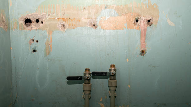 Best Flooded house restoration  in Northfield, IL