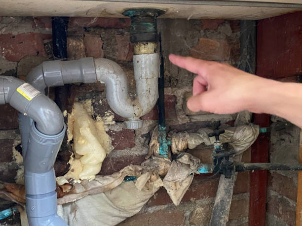 Best Residential water damage restoration  in Northfield, IL